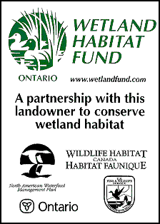 Wetland sign.